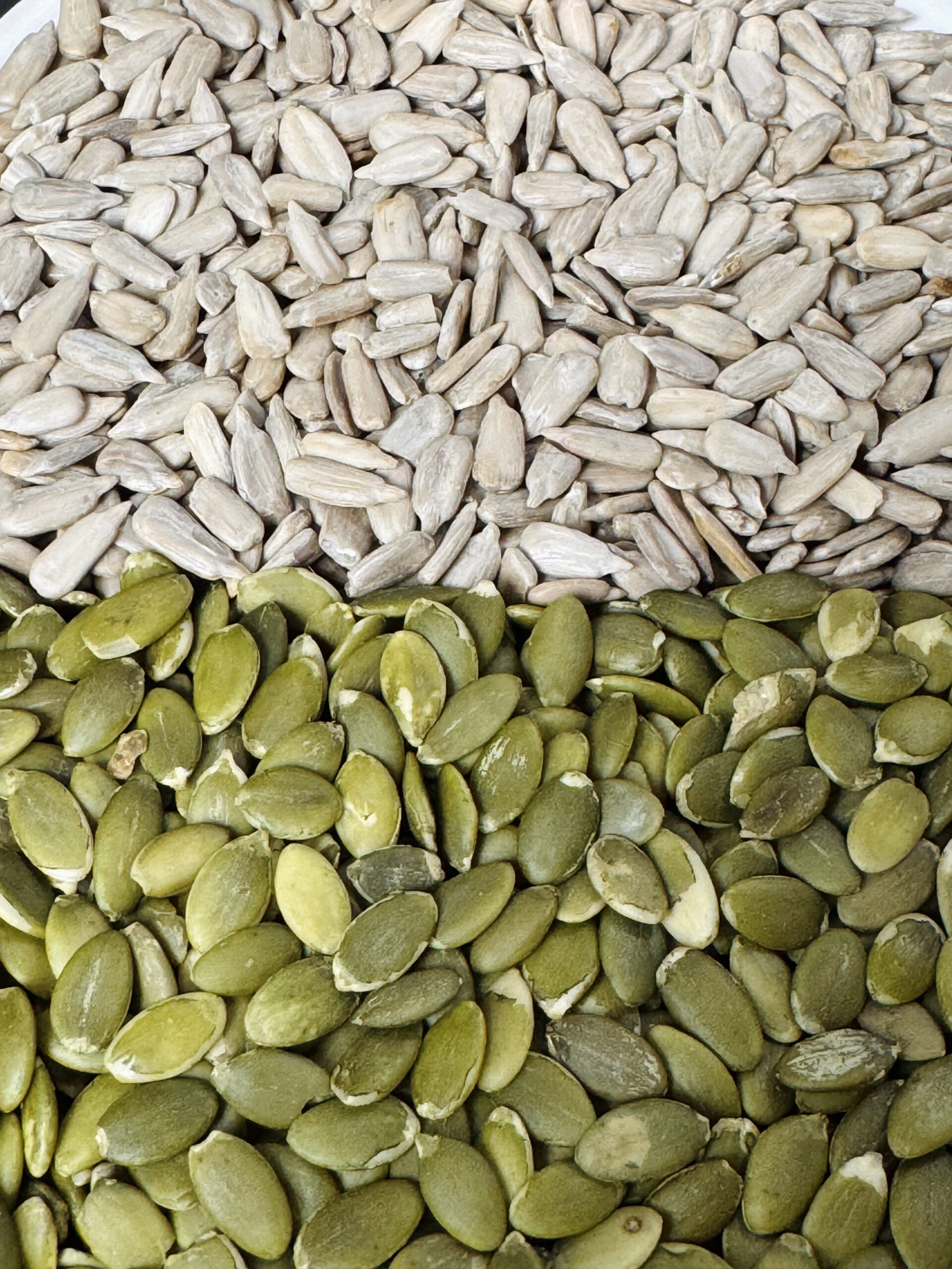 সিডস কম্বো - Image 5