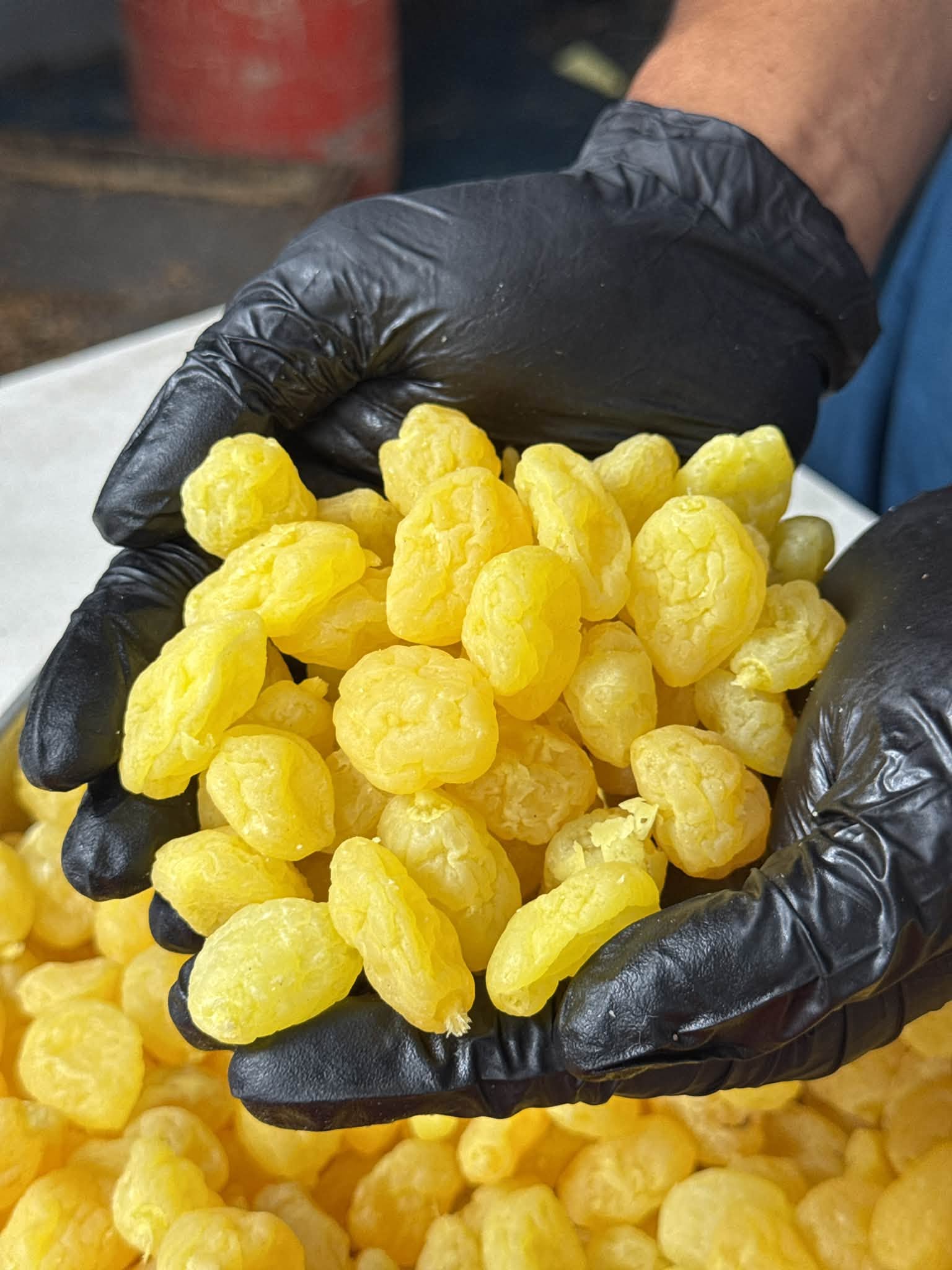 ইয়েলো এপ্রিকট | Yellow apricot - Image 2